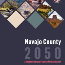 Navajo County Comprehensive Plan - 60-Day Draft thumbnail icon